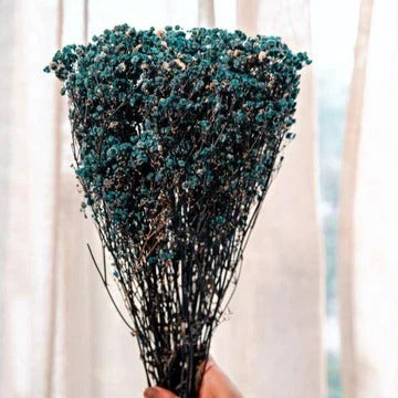 Dried Baby's Breath Flowers Bunch