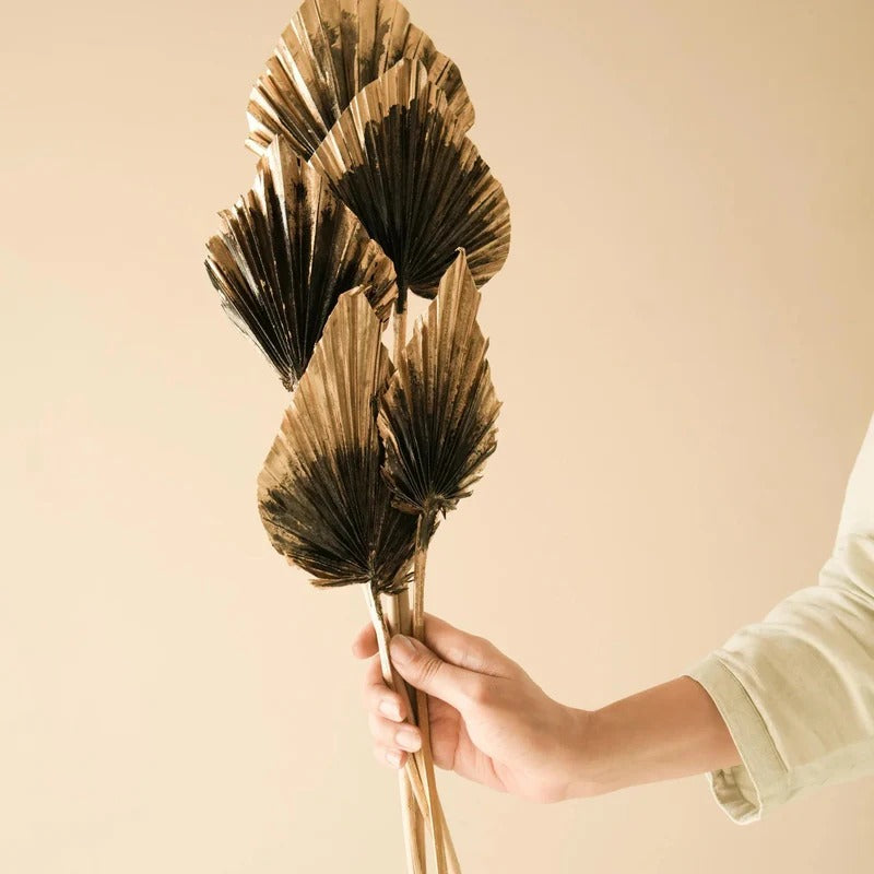Golden Black Palm Leaves Dried Flower Decor Set