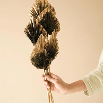 Golden Black Palm Leaves Dried Flower Decor Set