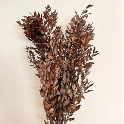 Dried Ruscus Flower Bunch - Home Decor