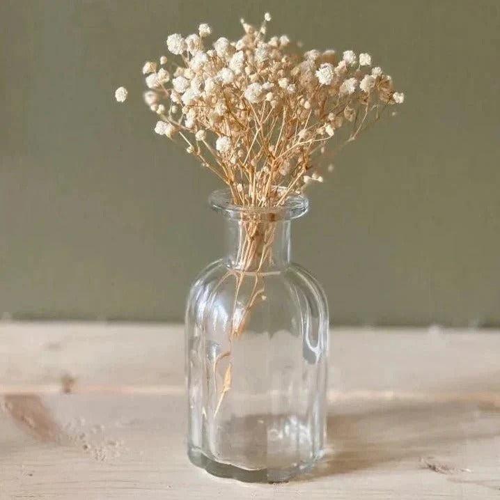 Dried Baby's Breath Flowers Bunch