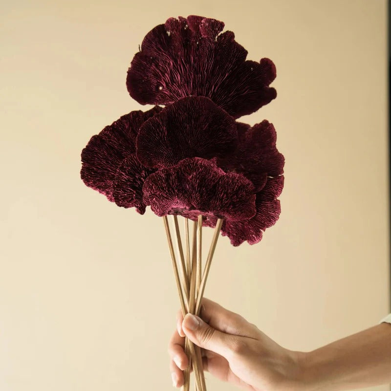 Sponge Mushroom Dried Flower Home Decor