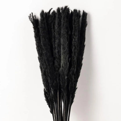 Mini Pampas Grass Stems - 10 Stems