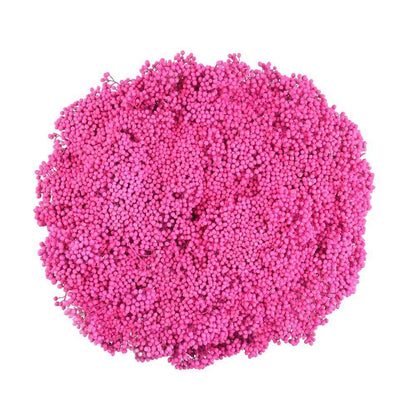 Dried Rice Flower Natural Floral Decor Bunch