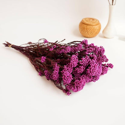 Dried Rice Flower Natural Floral Decor Bunch