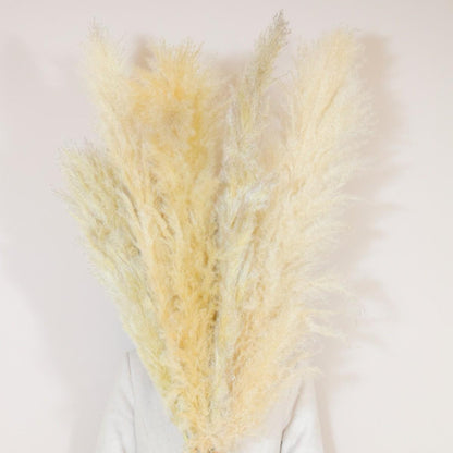 Fluffy Pampas Grass Set of 5 Large Decor Stems