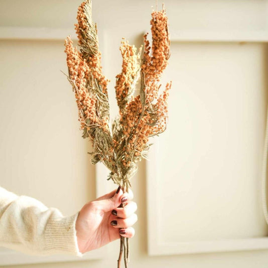 Dried Mimosa Flower Bunch Home Decor