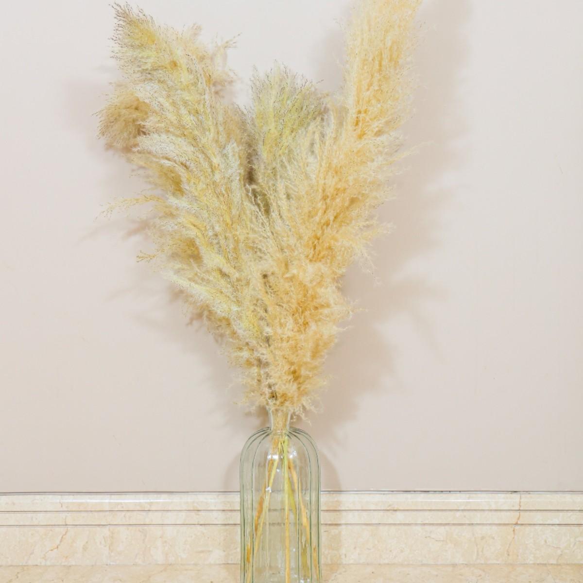 Fluffy Pampas Grass Set of 5 Large Decor Stems