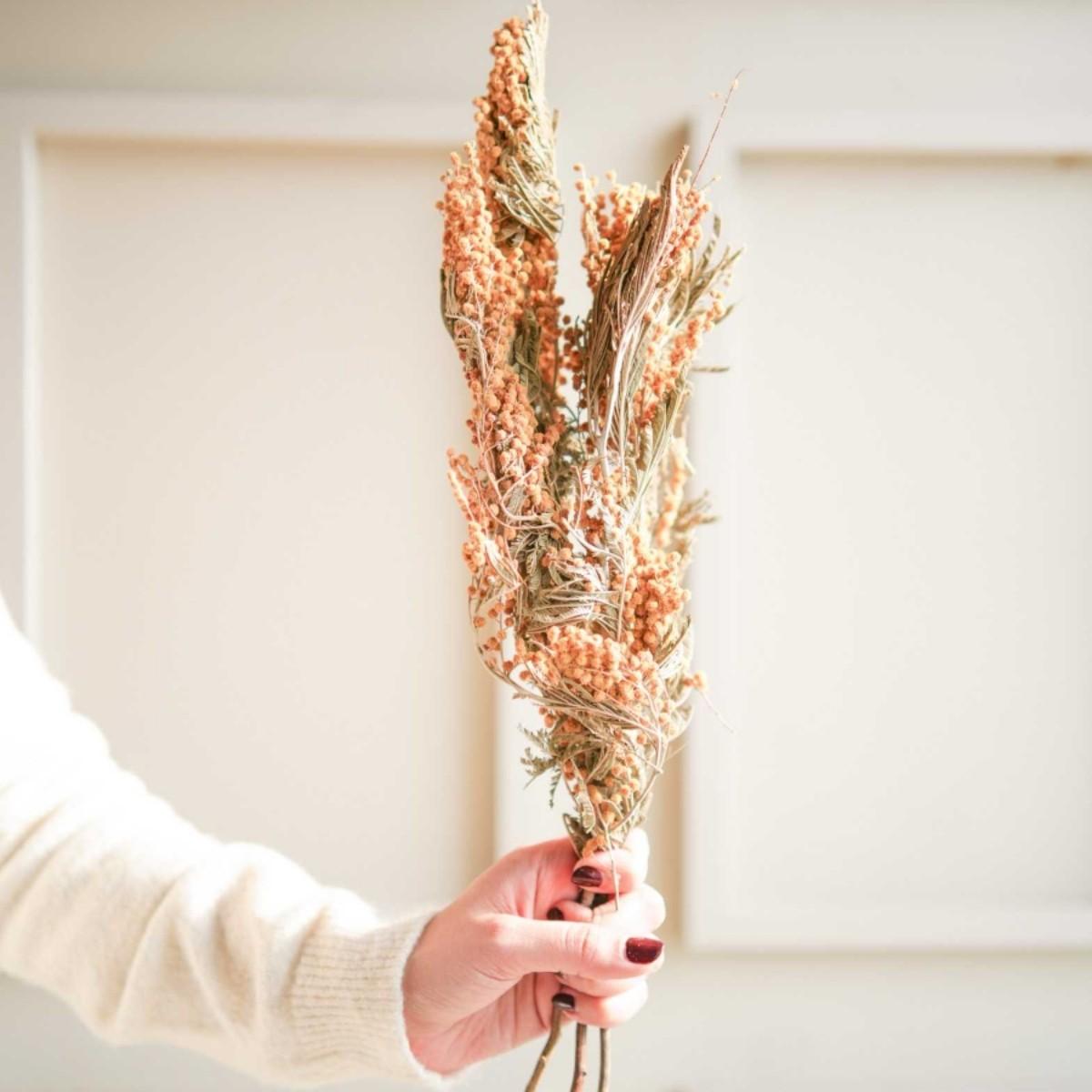 Dried Mimosa Flower Bunch Home Decor