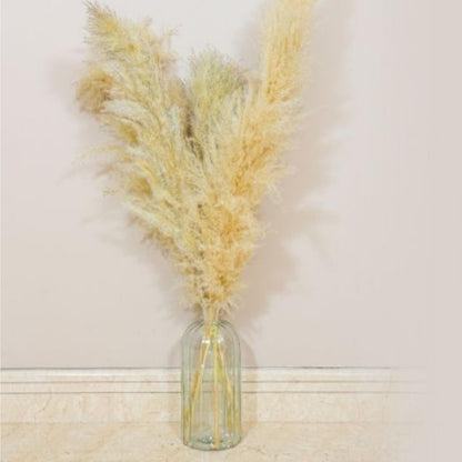 Fluffy Pampas Grass Set of 5 Large Decor Stems