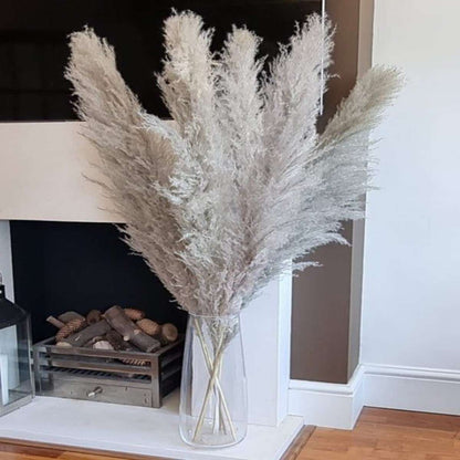 Fluffy Pampas Grass Set of 5 Large Decor Stems