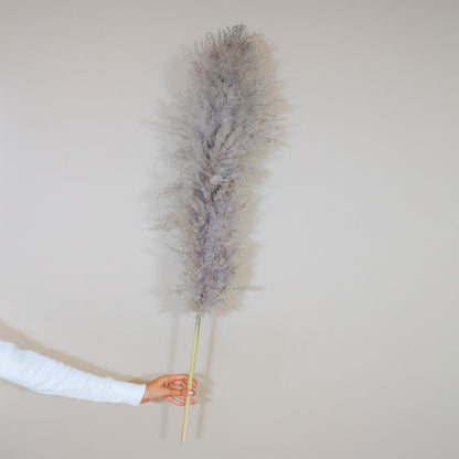 Fluffy Pampas Grass Set of 5 Large Decor Stems