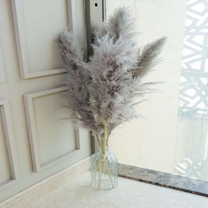 Fluffy Pampas Grass Set of 5 Large Decor Stems