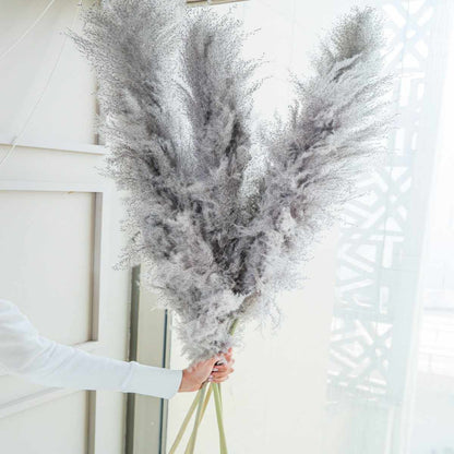 Fluffy Pampas Grass Set of 5 Large Decor Stems
