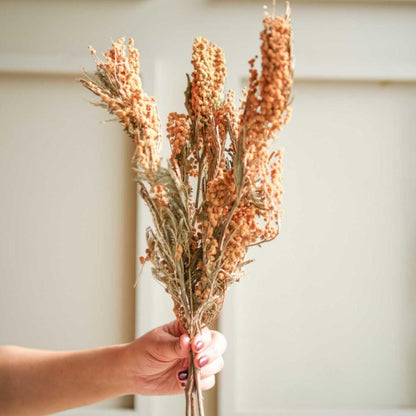 Dried Mimosa Flower Bunch Home Decor
