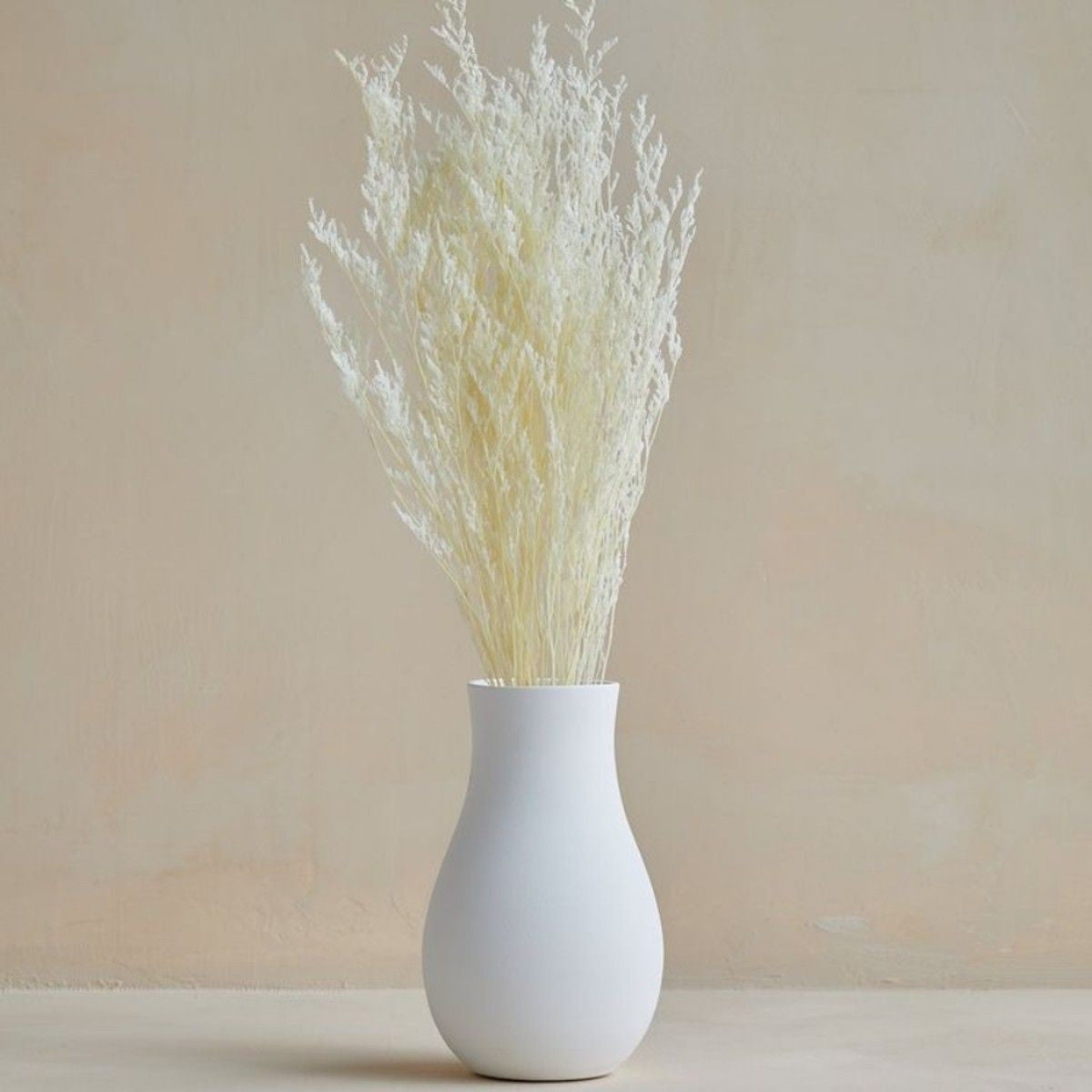 White Lace Dried Limonium Flower Decor Bunch