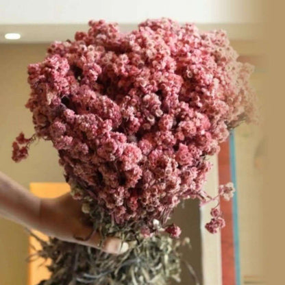 Pastel Pink Dried Daisy Flower Bunch Decor