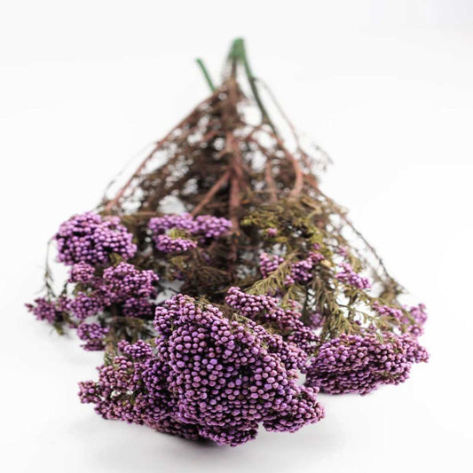 Dried Rice Flower Natural Floral Decor Bunch